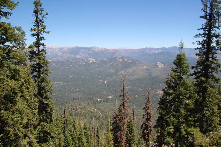 Sequoia National Forest
